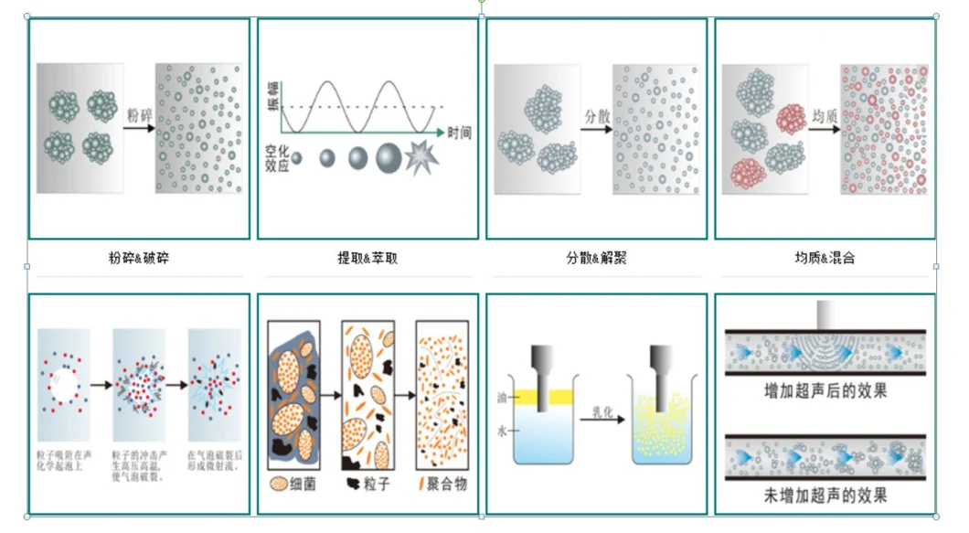 20kHz Ultrasonic Homogenizer Mixing Dispersion Machine with High Extraction Rate in Short Time